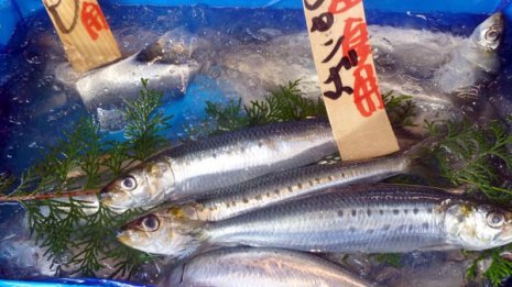 EPA製剤“特需”を秘める「日本水産」 心疾患分野で可能性大