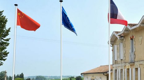 農地を投機商品扱いに 欧州ワイナリーを買い占める中国人