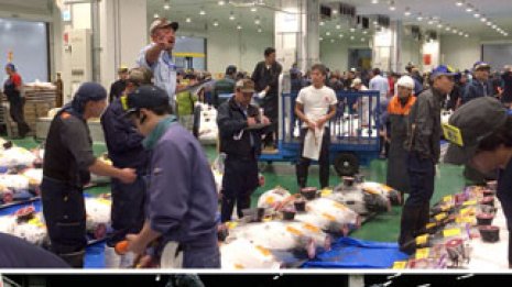 “平成の2大愚策” 難題放置の豊洲移転と3兆円東京五輪