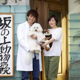 「僕とシッポと神楽坂」好発進 テレ朝は深夜枠も圧勝続く