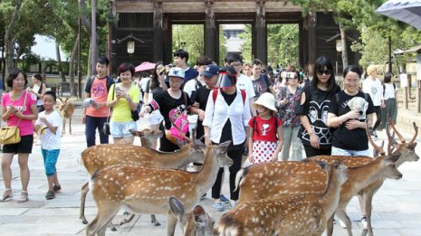 訪日外国人5%減…安倍政権が掲げる「観光立国」のお笑い