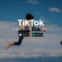 TikTokとパートナー契約 「ベクトル」の広告配信が絶好調