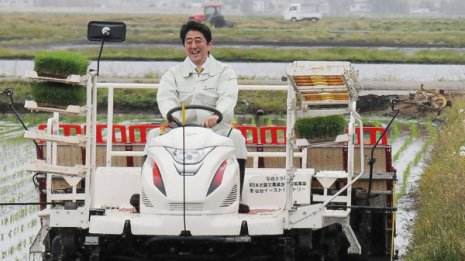 種子法廃止法、水産改革法…自民党は票田に見切りをつけた