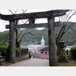 崎津諏訪神社の鳥居越しに見える（Ｃ）日刊ゲンダイ