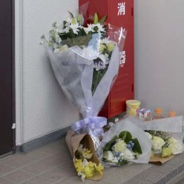 心愛さん死亡事件で児相を批判しても何の解決にもならない