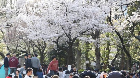 半額商品がズラリ 新生活は家具をアウトレットでそろえる