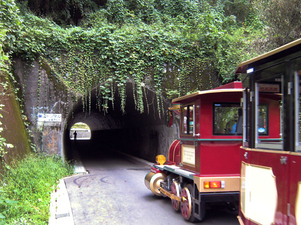 神奈川県横浜市の「こどもの国のトンネル」／（提供写真）