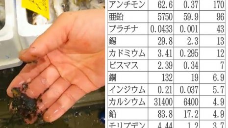 健康被害が続出 豊洲市場の“黒い粉塵”は高濃度の猛毒物質