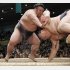 春場所１０日目、貴景勝（左）が引き落としで鶴竜を破った（Ｃ）共同通信社