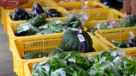 喜べない野菜安…裏で進む「食の安全保障」ボロボロの現実