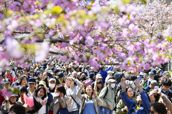 大阪市造幣局の「桜の通り抜け」を楽しむ人たち（Ｃ）共同通信社