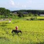 【耕地】日本農業の深刻さ 後継者不足で東京都8個分が減少