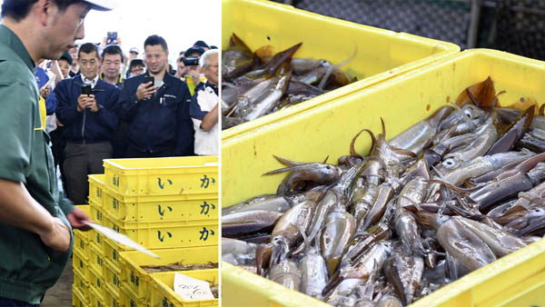 3日、北海道函館漁港で初水揚げされたスルメイカは前年並み（Ｃ）共同通信社