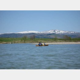 イトウがすむ手つかずの天塩川でカヌー体験（Ｃ）日刊ゲンダイ