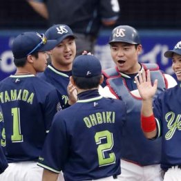ヤクルトファンには内緒だけどね いっそ日本新記録を…