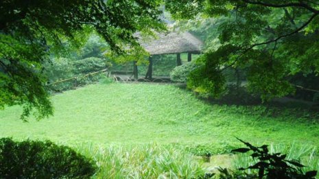 雨の森の不思議な魅力 装備とコース選びで意外と楽しめる