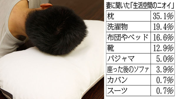 「洗える枕」が各種売られている（Ｃ）日刊ゲンダイ