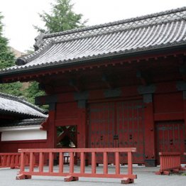 東大出身者の入門が大きな話題 落語家に“学歴”は必要か?