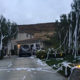 全米爆笑！自宅をトイレ紙まみれにされた女性の意外な反応