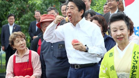 参院選序盤の情勢 下馬評通りならば「いつか来た道」