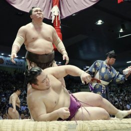 朝乃山は横綱白鵬に完敗…それでも得られた正攻法での収穫