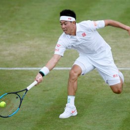 錦織圭4大大会5連続8強 好調の裏に“恋人との一軒家ステイ”