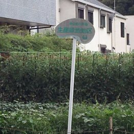 高級住宅街の東京・世田谷 2040年に「郊外」に転落の衝撃