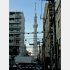 平穏な街が脅かされている（Ｃ）日刊ゲンダイ