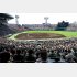 今年甲子園に行った球児は882人（Ｃ）日刊ゲンダイ