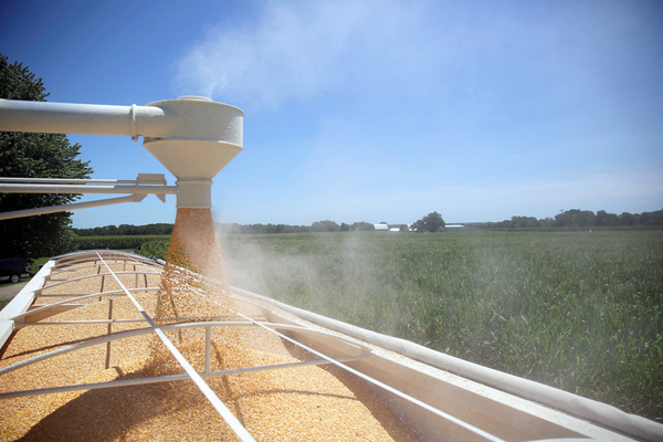 日本は余剰穀物の最終処理場として尻拭い（米イリノイ州の農場でトラックに積まれるトウモロコシ）（Ｃ）ロイター