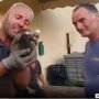 世界中が注目！子猫を救出した消防士が“男泣き”したワケ
