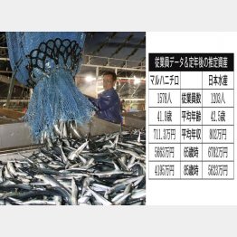 マルハニチロと日本水産（Ｃ）共同通信社