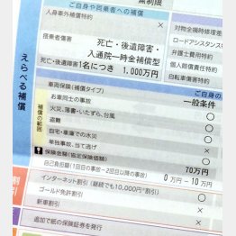 どんな補償があるかをチェック（Ｃ）日刊ゲンダイ