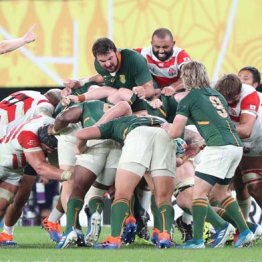 ラグビージャージーだけじゃない W杯関連商品が爆売れ中