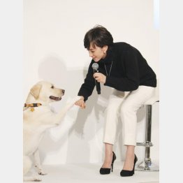 滝川クリステルと愛犬のアリス（Ｃ）日刊ゲンダイ