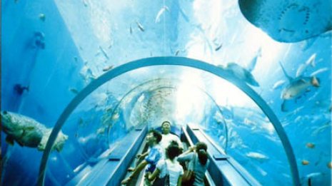 2回で元が取れる…年間パスポートのお得なレジャー施設は