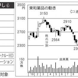 ジェネリック大手「東和薬品」“お国”の力で成長は確実