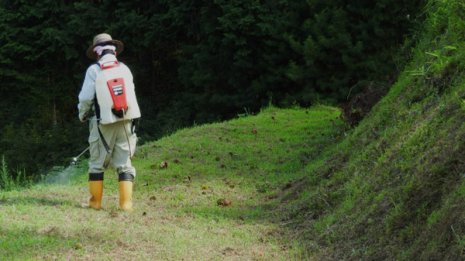 世界で使用禁止や規制強化に動く除草剤を使い続ける日本