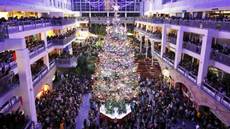 日米ともに株価は好調 試金石となる「クリスマス商戦」