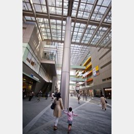 東京23区の電柱の地下化は現在８％…（Ｃ）日刊ゲンダイ