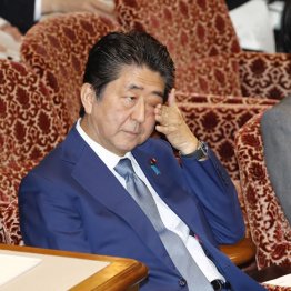 公民権停止もあるぞ 桜を見る会中止で疑惑モミ消しの悪質