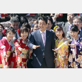 【政局】安倍首相11月20日退陣説 「桜を見る会」疑惑で政界の空気一変