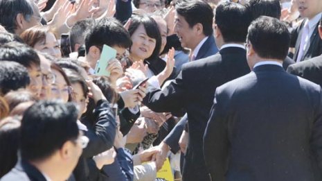 自民改選議員を“常習”招待「桜を見る会」で48人違法当選か