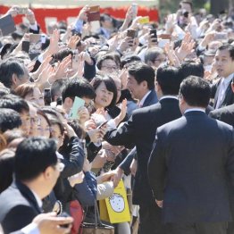 自民改選議員を“常習”招待「桜を見る会」で48人違法当選か