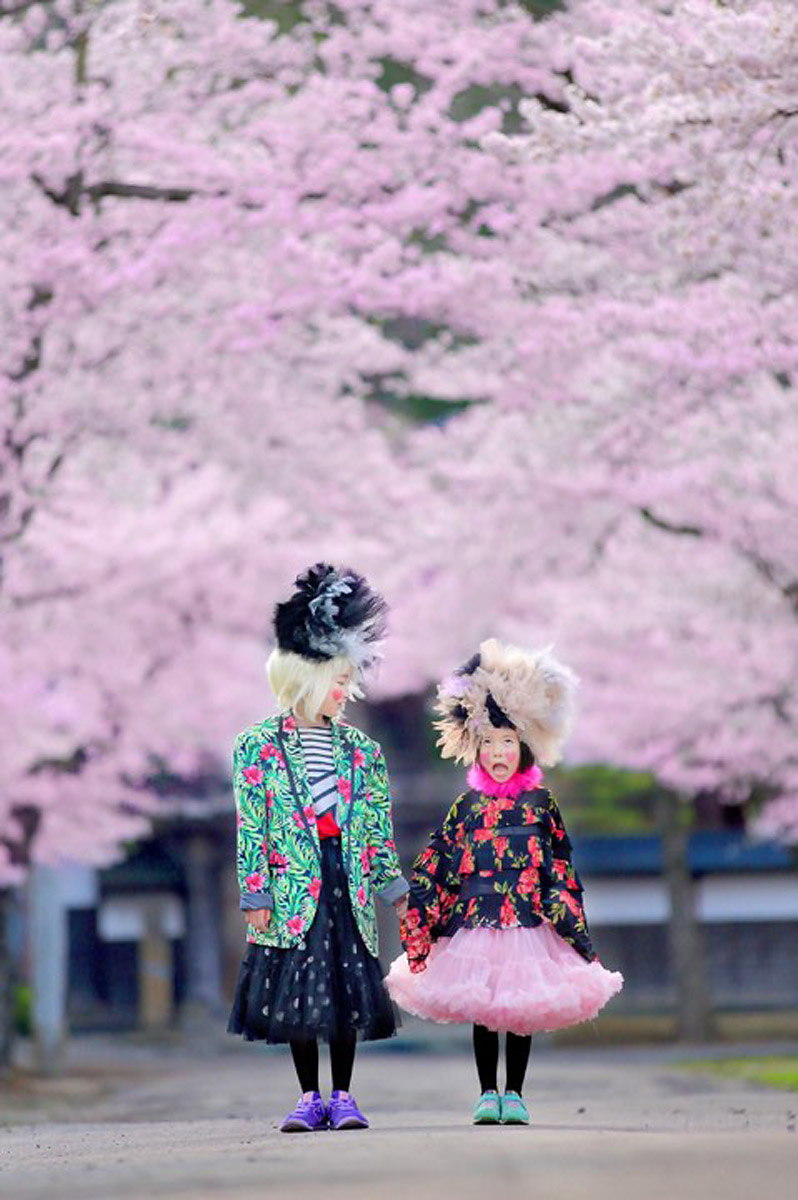 桜が満開、七戸町の瑞龍寺。おどけた顔がカワイイ（撮影／小原達郎さん）