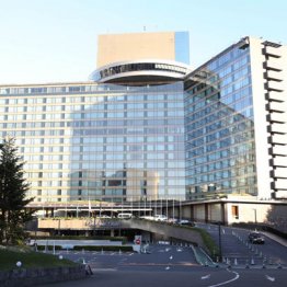 前夜祭は“唐揚げ増量”とは異なりコスパ充実 参加者が証言