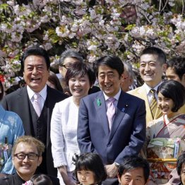 ジャパンライフへの検査 消費者庁が急きょ取りやめていた