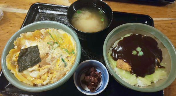 ドミグラスソースカツ丼と玉子とじカツ丼のセット（Ｃ）日刊ゲンダイ