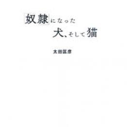 “不良在庫”の犬や猫がたどる残酷な運命