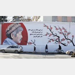 アフガニスタンの首都カブール中心部の塀に描かれた中村哲さん（Ｃ）共同通信社